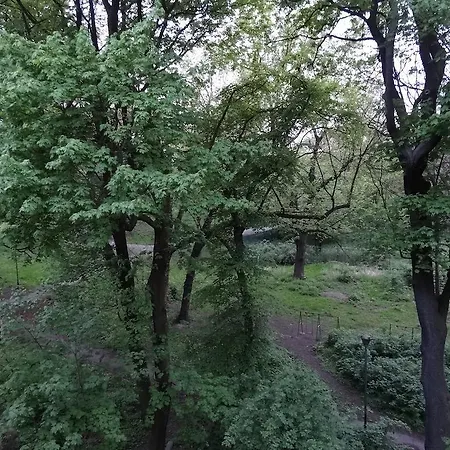 Place *