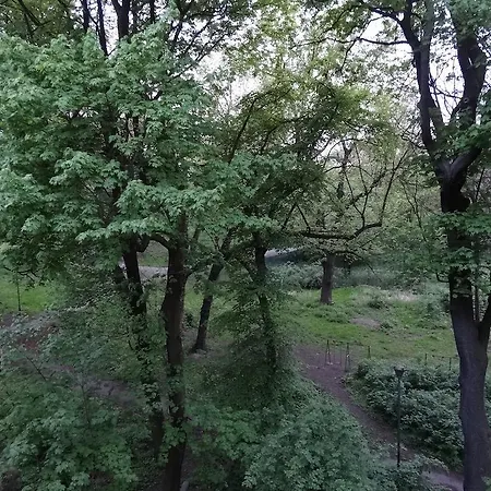 Place *